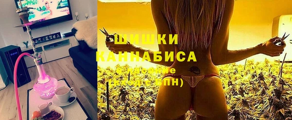 СК Бородино