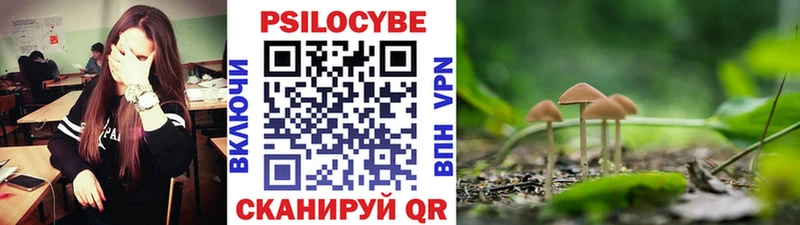 Псилоцибиновые грибы Magic Shrooms  Кондрово 